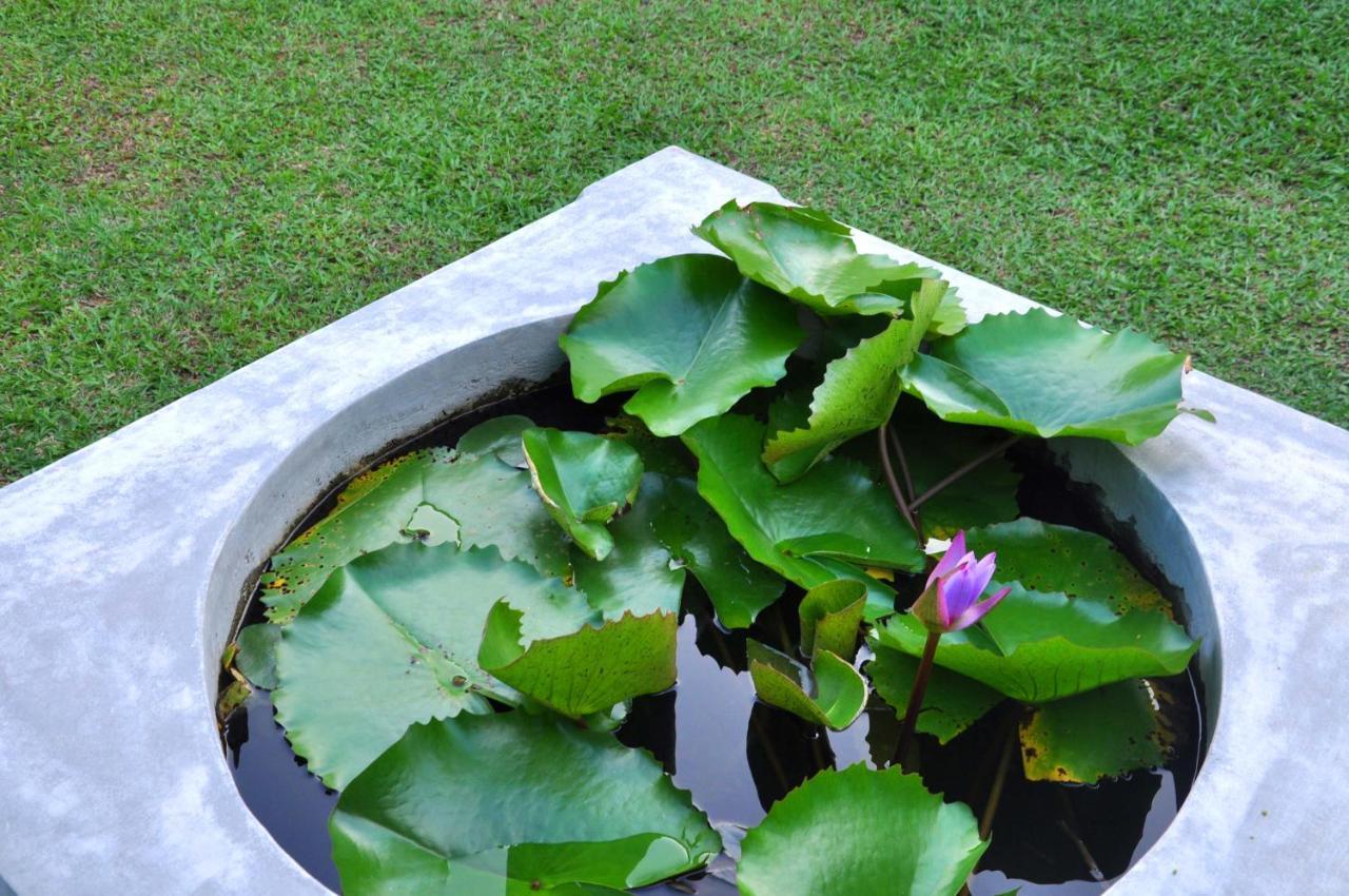 Mama Villa Hikkaduwa Esterno foto
